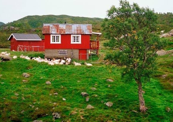 Farms and Land Banner Image